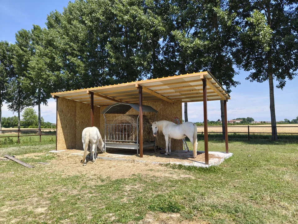 Tettoia di ricovero completata, con i cavalli al riparo e la rastrelliera del fieno